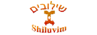 לוגו - שילובים