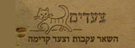 לוגו - צעדים