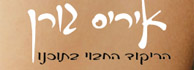 לוגו - איריס גורן - שיעורי תנועה וסדנאות ריקוד