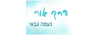 לוגו - נעמה גבאי - דרך אור