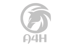 לוגו ALL4HORSES- המכללה המובילה להכשרת מדריכי רכיבה