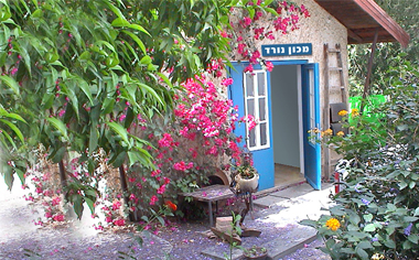 לימודים במכון נורד
